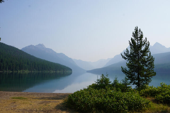 Bowman Lake, Glacier National Park